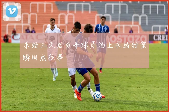 求婚三天后分手球员场上求婚甜蜜瞬间成往事