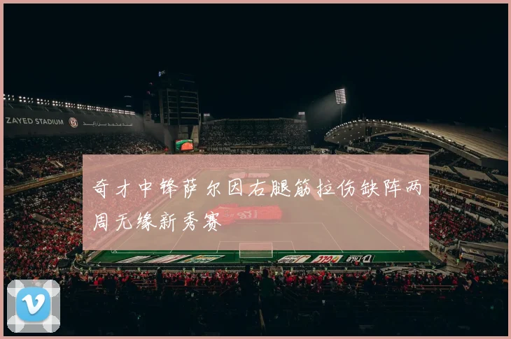 奇才中锋萨尔因右腿筋拉伤缺阵两周无缘新秀赛