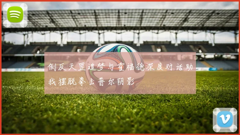 倒反天罡追梦与霍福德深度对话助我摆脱拳击普尔阴影