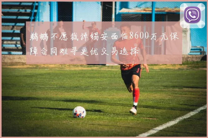 鹈鹕不愿裁掉锡安面临8600万无保障合同难寻更优交易选择